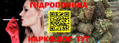 мдпв Чапаевск