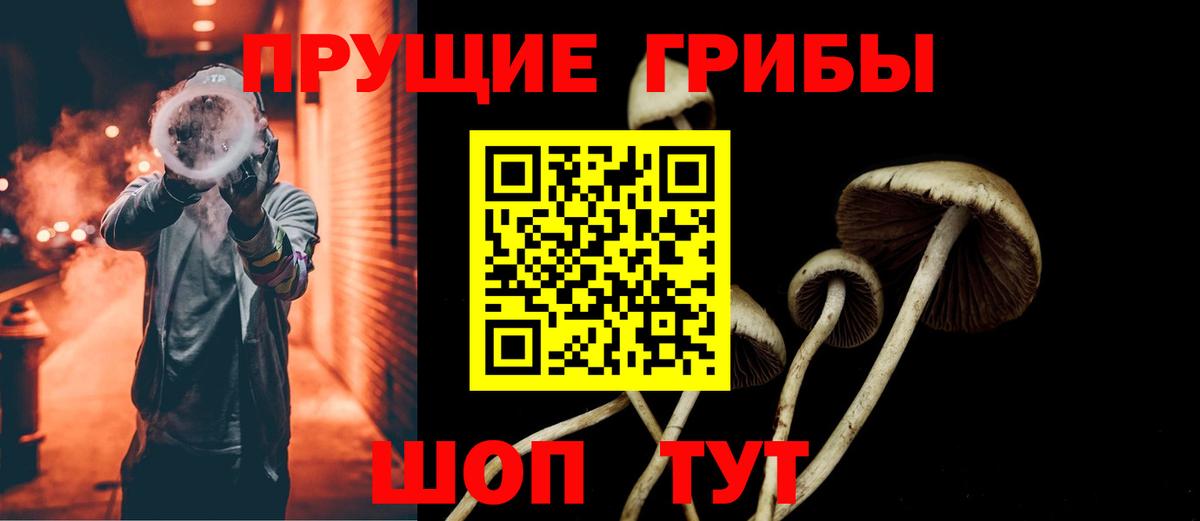 Псилоцибиновые грибы Psilocybe Мытищи