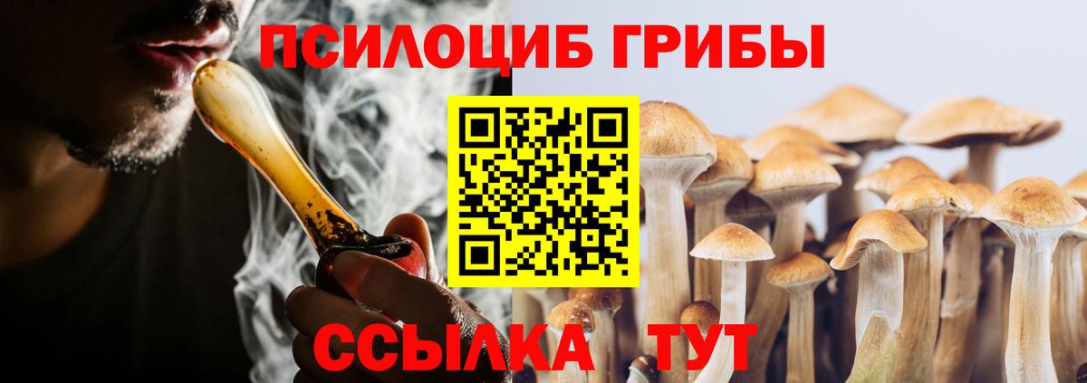 Мытищи  Псилоцибиновые грибы мицелий  Вход с VPN  Галлюциногенные грибы Psilocybe 
